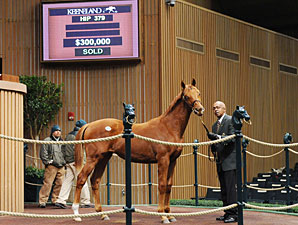 Candy Ride Colt Brings $300,000 at Keeneland Candy Ride Colt Brings $300,000 at Keeneland