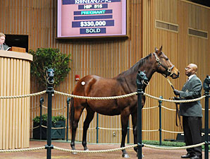 Princess Janie Goes for $330,000 at Keeneland Princess Janie Goes for $330,000 at Keeneland