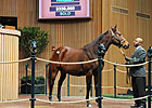 Princess Janie Goes for $330,000 at Keeneland Princess Janie Goes for $330,000 at Keeneland