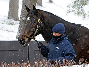 Profit Difficult to Achieve at January Sale Profit Difficult to Achieve at January Sale