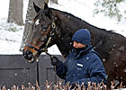Profit Difficult to Achieve at January Sale