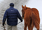 Gross, Average Rebound at Keeneland Jan. Sale