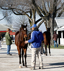 Up, Up, and Away! Keeneland Prices Soar Up, Up, and Away! Keeneland Prices Soar