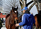 Up, Up, and Away! Keeneland Prices Soar Up, Up, and Away! Keeneland Prices Soar