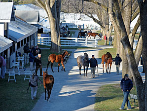 Yearlings Lead Way on Day 3 of Keeneland Sale Yearlings Lead Way on Day 3 of Keeneland Sale