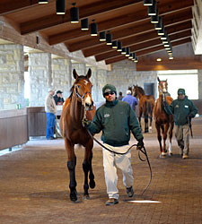Keeneland January Loses Bit of Momentum Keeneland January Loses Bit of Momentum