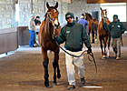 Keeneland January Loses Bit of Momentum Keeneland January Loses Bit of Momentum