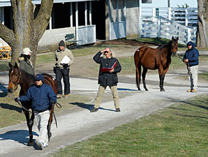 Strong Final Numbers for Keeneland January Strong Final Numbers for Keeneland January