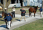 Strong Final Numbers for Keeneland January Strong Final Numbers for Keeneland January