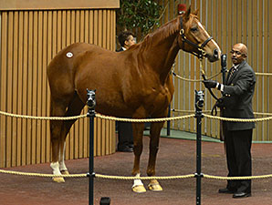 Vyjack's Dam Sells for $750,000 at Keeneland Vyjack's Dam Sells for $750,000 at Keeneland