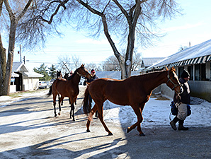 Median Increases at Keeneland January Opener Median Increases at Keeneland January Opener
