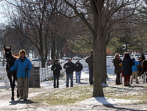 Action Solid as Keeneland January Sale Ends Action Solid as Keeneland January Sale Ends