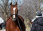 Blind Luck Does Not Meet Reserve at $1.4M Blind Luck Does Not Meet Reserve at $1.4M
