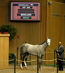 Wickedly Perfect Brings $800,000 Wickedly Perfect Brings $800,000