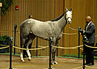 Wickedly Perfect Brings $800,000