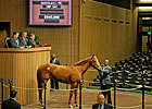 Secret Gypsy Sells for $540,000 at Keeneland Secret Gypsy Sells for $540,000 at Keeneland