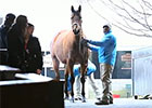Keeneland January Sale Wrap: Day 1 Keeneland January Sale Wrap: Day 1