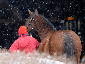 Cumulative Gross Up After Jan. Sale's Day 2 Cumulative Gross Up After Jan. Sale's Day 2