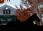 Keeneland Day Six: Market Softens Keeneland Day Six: Market Softens