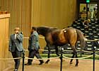 Keeneland Ends With Substantial Declines Keeneland Ends With Substantial Declines