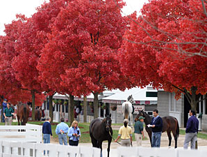 Stakes Winning Filly Tops Keeneland Session Stakes Winning Filly Tops Keeneland Session