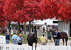 Stakes Winning Filly Tops Keeneland Session Stakes Winning Filly Tops Keeneland Session