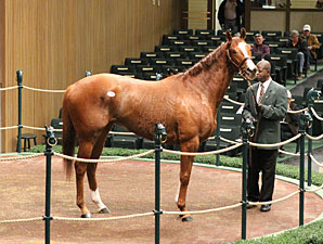 Buy-Back Rate Holding Steady at Keeneland Buy-Back Rate Holding Steady at Keeneland