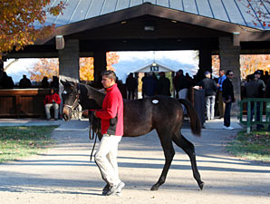 Keeneland Nears End with Statistics Still Up Keeneland Nears End with Statistics Still Up