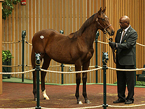 Coolmore Buys War Front Colt for $800K Coolmore Buys War Front Colt for $800K