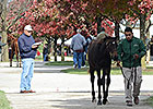 Keeneland Gross Passes 2012 Total on 5th Day Keeneland Gross Passes 2012 Total on 5th Day