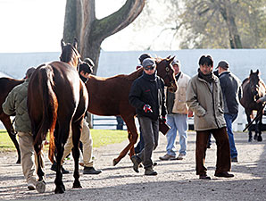 Worldly Co-Topper at Keeneland November Day 7 Worldly Co-Topper at Keeneland November Day 7