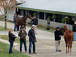 Keeneland November Rolls to More Big Gains Keeneland November Rolls to More Big Gains
