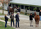 Keeneland November Rolls to More Big Gains Keeneland November Rolls to More Big Gains