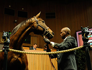 Keeneland January Catalog Down 26.3% Keeneland January Catalog Down 26.3%