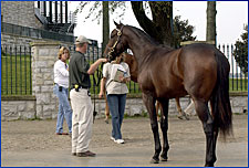 Successful Appeal Filly Tops Another Solid Session at Keeneland Successful Appeal Filly Tops Another Solid Session at Keeneland