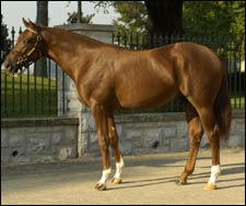 Keeneland's Hot Horses: Tuesday's Select Session