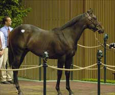 Keeneland Sale Opens With Increases in Average, Median Keeneland Sale Opens With Increases in Average, Median