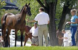 Optimism Reigns as Keeneland September Sale Prepares to Open Optimism Reigns as Keeneland September Sale Prepares to Open
