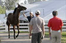 Market Correction Expected to Continue at Keeneland Market Correction Expected to Continue at Keeneland