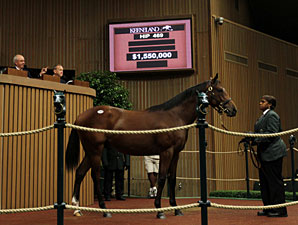 Prices Surge on Third Day of September Sale Prices Surge on Third Day of September Sale