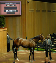 Keeneland Sept. Sale Market Still Merciless Keeneland Sept. Sale Market Still Merciless