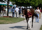 Session 1: September Sale's Prospective Stars Session 1: September Sale's Prospective Stars