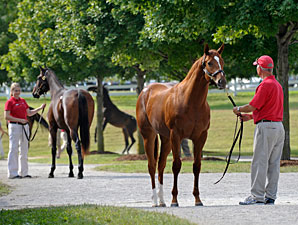 September Sale Poses Challenge for Sellers September Sale Poses Challenge for Sellers