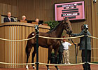 Keeneland September Sale Select Session Wrap