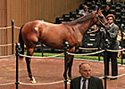 Smart Strike Filly Brings $550,000