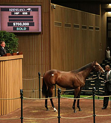 Malibu Moon Filly Brings $700,000 Malibu Moon Filly Brings $700,000