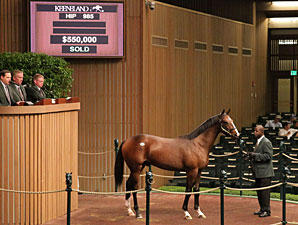 $550,000 Smart Strike Colt Leads Session $550,000 Smart Strike Colt Leads Session