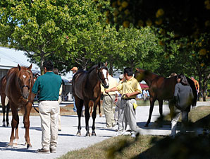 Keeneland Sale Delivers Growth and Stability Keeneland Sale Delivers Growth and Stability
