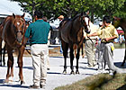 Keeneland Sale Delivers Growth and Stability Keeneland Sale Delivers Growth and Stability