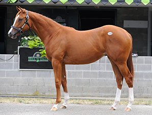 Keeneland Session Two: More Hot Prospects Keeneland Session Two: More Hot Prospects